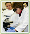 Donate Now - The Charlotte W. Newcombe Foundation Challenge Grant