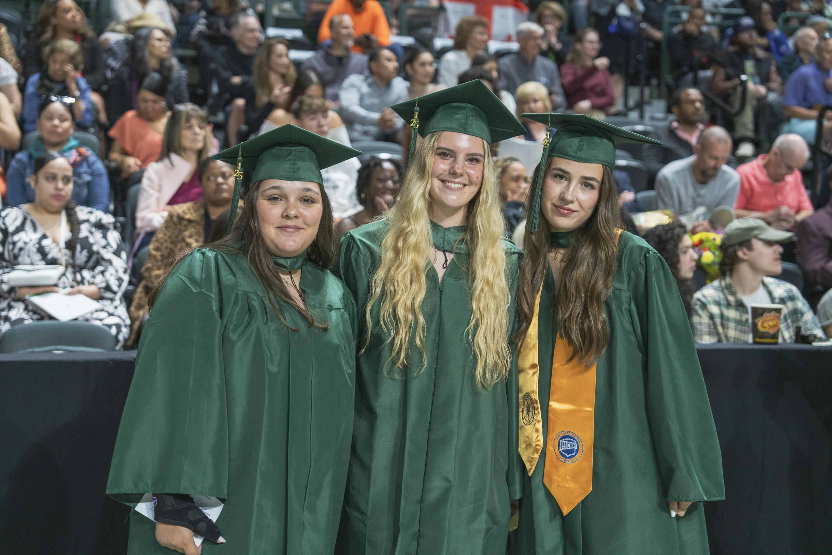 Grad Celina Anni Laura