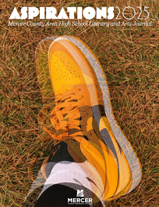 Aspirations latest edition