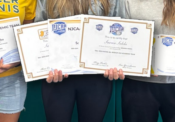 All Academic