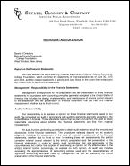 Foundation Auditor's Report & Financial Statements