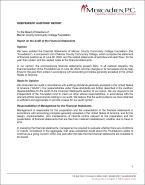 Foundation Auditor's Report & Financial Statements