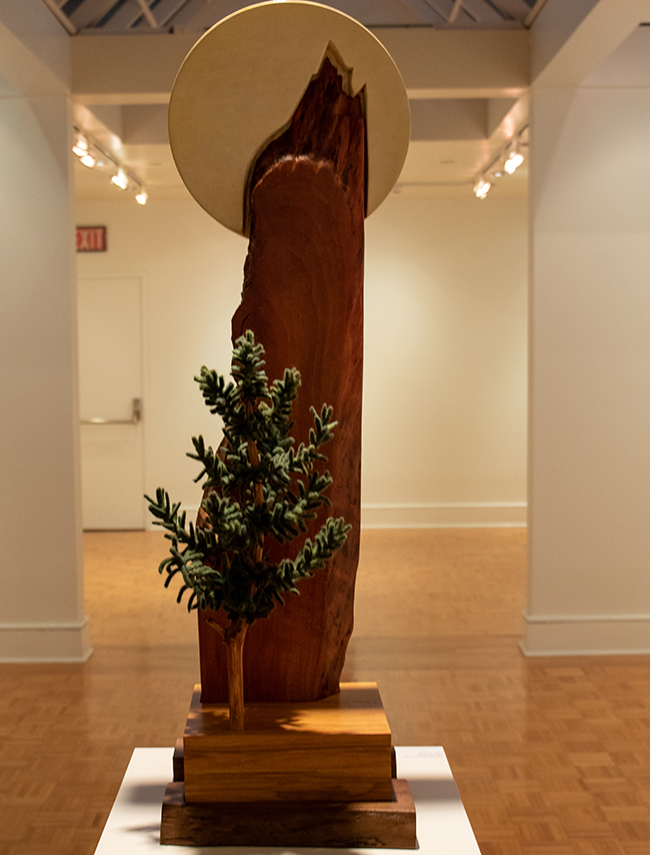 MCA 2020 Photo Gallery