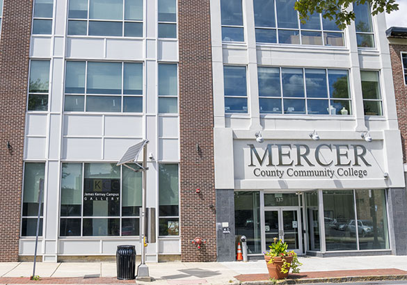 Trenton Arts Fellowship