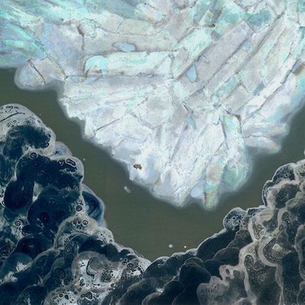 FloraFanzuttiSeajpeg