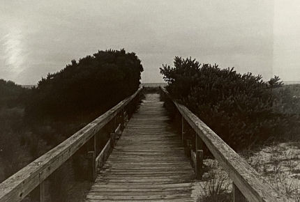 The Gallery at MCCC 2024 Student Exhibition