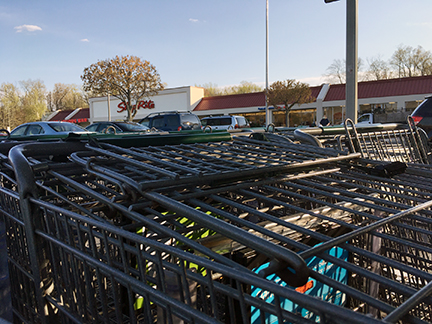 Shopping Carts