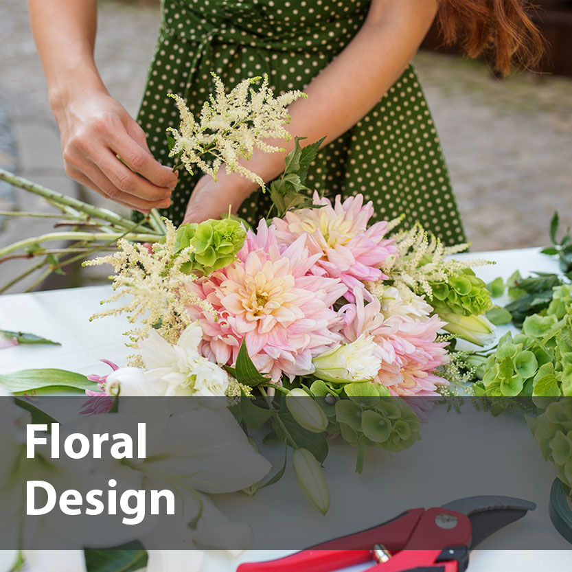 Advanced-Imaging-Program