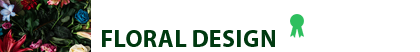Graphic Design Adobe
