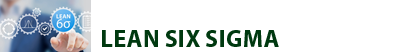 Lean Six Sigma