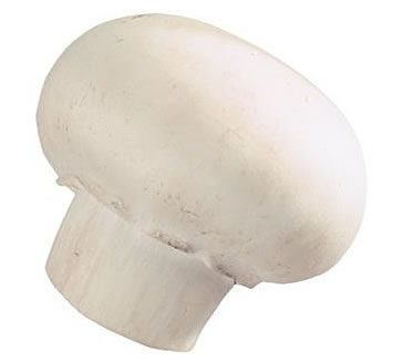 move fowrard mushroom