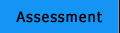 Assessment