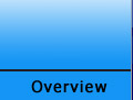 Project Overview